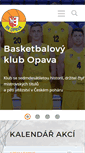 Mobile Screenshot of bkopava.cz